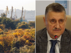 Рощу на левом берегу Ростова-на-Дону не застроят, а преобразуют в парк