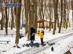 На Дону семьи смогут получить остаток регионального маткапитала