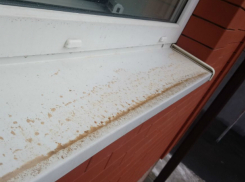 Кровавым снегом засыпало шокированных жителей Суворовского микрорайона Ростова