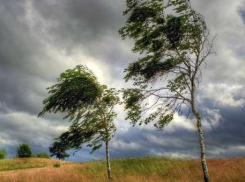 Из-за ливней с грозой в Ростовской области объявили предупреждение