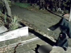 Жуткий кровавый обряд провел сатанист*-таролог в Ростовской области