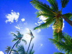 «В деревню, в глушь, в Саратов»: на что ростовские работники готовы ради хорошего отпуска