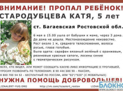 В Ростовской области пропала 5-летняя девочка