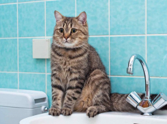 В центре Ростова 24 августа отключат холодную воду