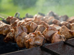 Штраф вместо шашлыков: какие проблемы могут возникнуть у ростовских дачников этой весной