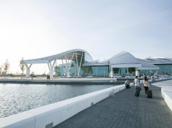 Стали известны подробности гибели второго пилота в аэропорту Платов