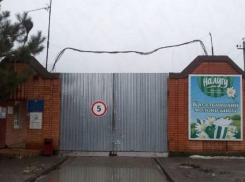 Роспотребнадзор через суд запретил заводу в Ростовской области делать молоко