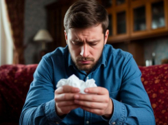 Четыре типа вирусов обнаружили в Ростовской области