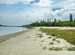 Двое детей-близнецов утонули в реке на базе отдыха в Ростове-на-Дону