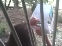 Ростовские волонтеры украли из ячейки деньги для нуждающихся