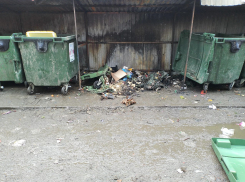 В Ростове с начала года сожгли полтысячи мусорных контейнеров