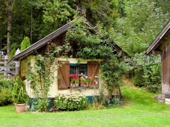 Лунный календарь садовода и огородника с 19 по 25 июля