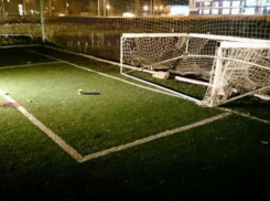 В Ростовской области осудили виновного в смерти девочки, раздавленной футбольными воротами 