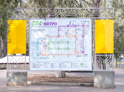 В ростовском зоопарке появилось собственное метро