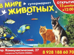 В «Мире животных» интересно взрослым и детям!