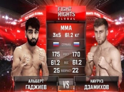 Науруз Дзамихов одержал самую быструю победу на турнире по смешанным единоборствам в Ростове 