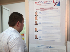 Избранные депутаты в Ростовской области начали массово отказываться от своих мандатов