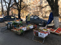 Чиновник из Новочеркасска предупреждал нелегальных торговцев о рейдах