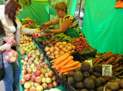 В центре Ростова ограничат движение транспорта ради масштабной сельскохозяйственной ярмарки