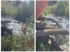 В Ростовской области обнаружили озеро фекалий и нечистот 