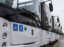 В Ростове после дикого штурма автобусов болельщиками на тестовом матче появятся 102 новых шаттла