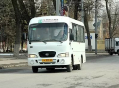 Молодой мужчина, пенсионерка и брюнетка довели до истерики водителя автобуса в Ростове