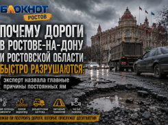 Почему дороги в Ростове-на-Дону и Ростовской области быстро разрушаются: эксперт назвала главные причины постоянных ям
