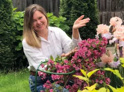 Июль: пора делить и размножать ирисы