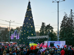 Больше тысячи ростовчан пришли на открытие главной городской  елки и на коронование обезьяны