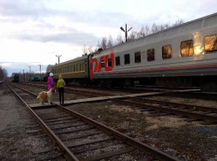 В Ростовской области пьяный мужчина угодил под поезд