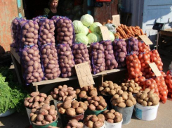 В двух районах Ростова откроются сельхоз ярмарки