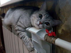   Центр Таганрога остался без света и тепла