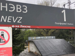 В Новочеркасске под поездом погибла молодая девушка