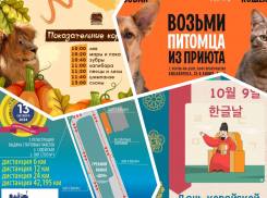Участвуем в «Донском марафоне», отмечаем осенины и праздник корейской письменности: куда пойти в Ростове на этой неделе