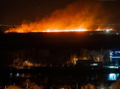 В Ростове на левом берегу Дона возник сильный ландшафтный пожар