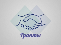 Ростов, Батайск и Новошахтинск получат правительственные гранты на развитие