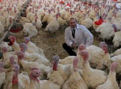 В охоту за землями в Ростовской области включился «Евродон»