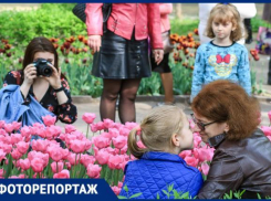 Выступления мотофристайлеров, фестиваль тюльпанов и много спорта: как в Ростове встретили Первое мая