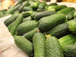 ЦБ РФ объяснил, почему в Ростовской области в мае подорожали продукты