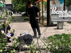 В Ростове-на-Дону на женщину обрушилось дерево