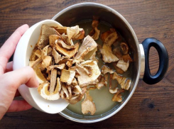 Огромный мерзкий червяк в грибах из Италии шокировал руководство ростовского ресторана