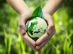 В Ростовской области с 1 августа по 30 сентября пройдет конкурс экологических рисунков