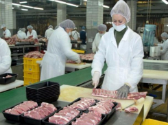 Яйца и мясо в 2016 году восхитили ростовских чиновников