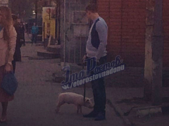 «Загадочный» парень с симпатичным поросенком на улице развеселил жителей Ростова