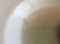 Супом со скрепкой накормили гостью в известной ростовской сети заведений