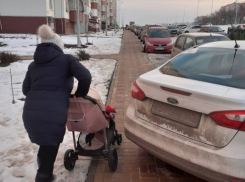 Ростовчане встали на сторону автовладельца и раскритиковали молодую маму
