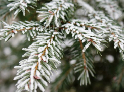 Штормовое предупреждение из-за резкого похолодания объявили в Ростове