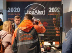 В Ростовской области поисковой отряд «Лиза Алерт» при поддержке билайн нашел 530 человек