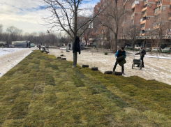 В Ростове-на Дону продолжают озеленять сугробы  