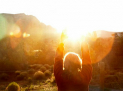 Теплая и солнечная погода поднимет настроение жителям Ростова в начале рабочей недели 